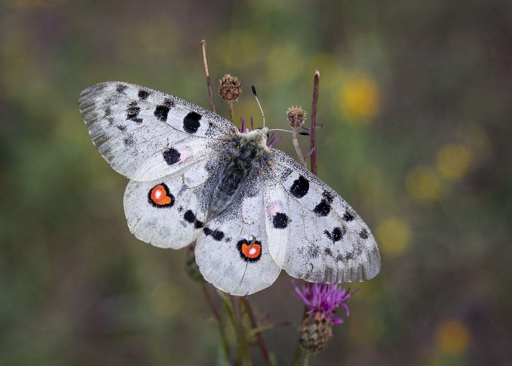 Photograph by Дмитрий Юдин