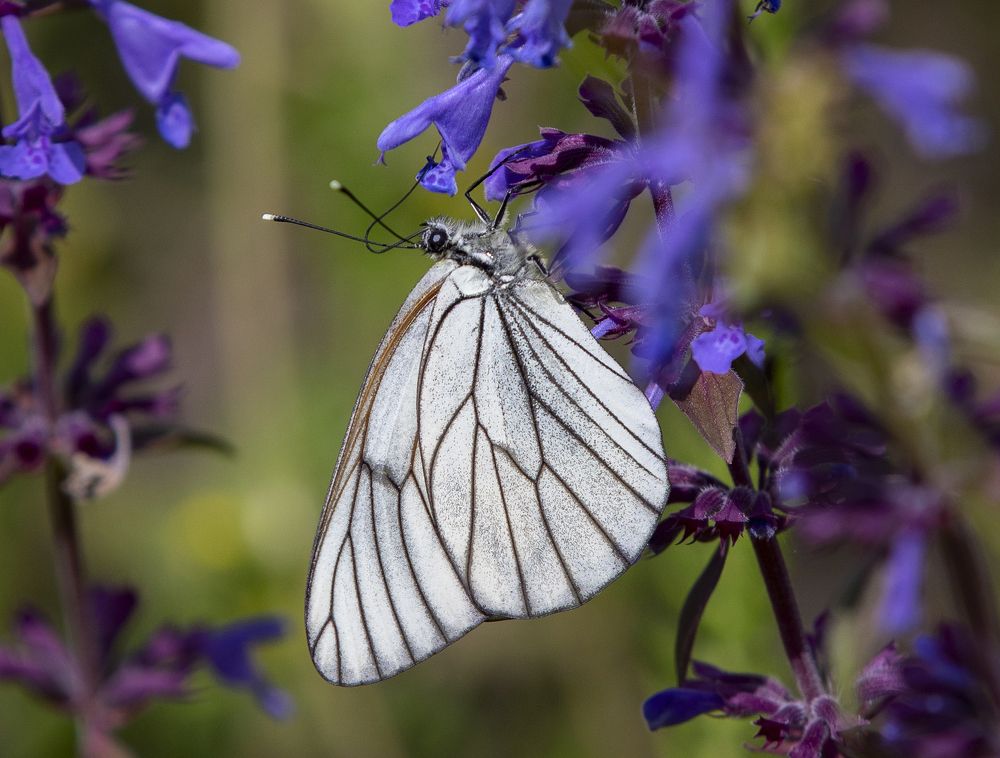 Photograph by Дмитрий Юдин