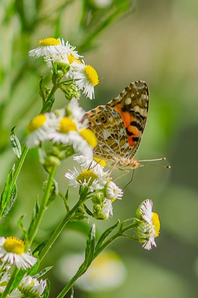 Photograph by Анна