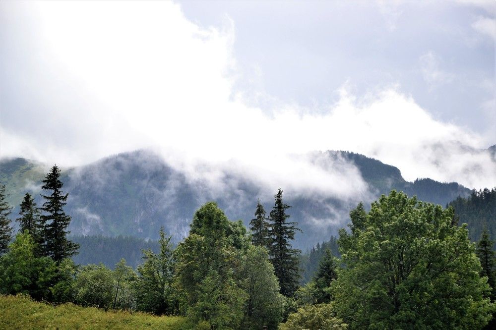 Photograph by Наталия Березина