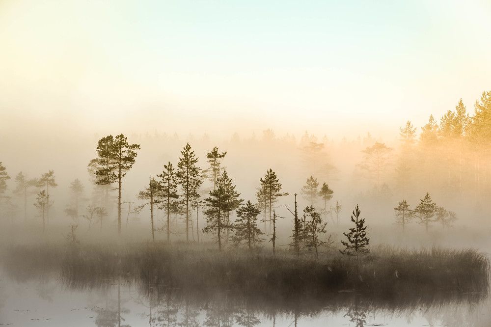 Photograph by Андрей Епишев