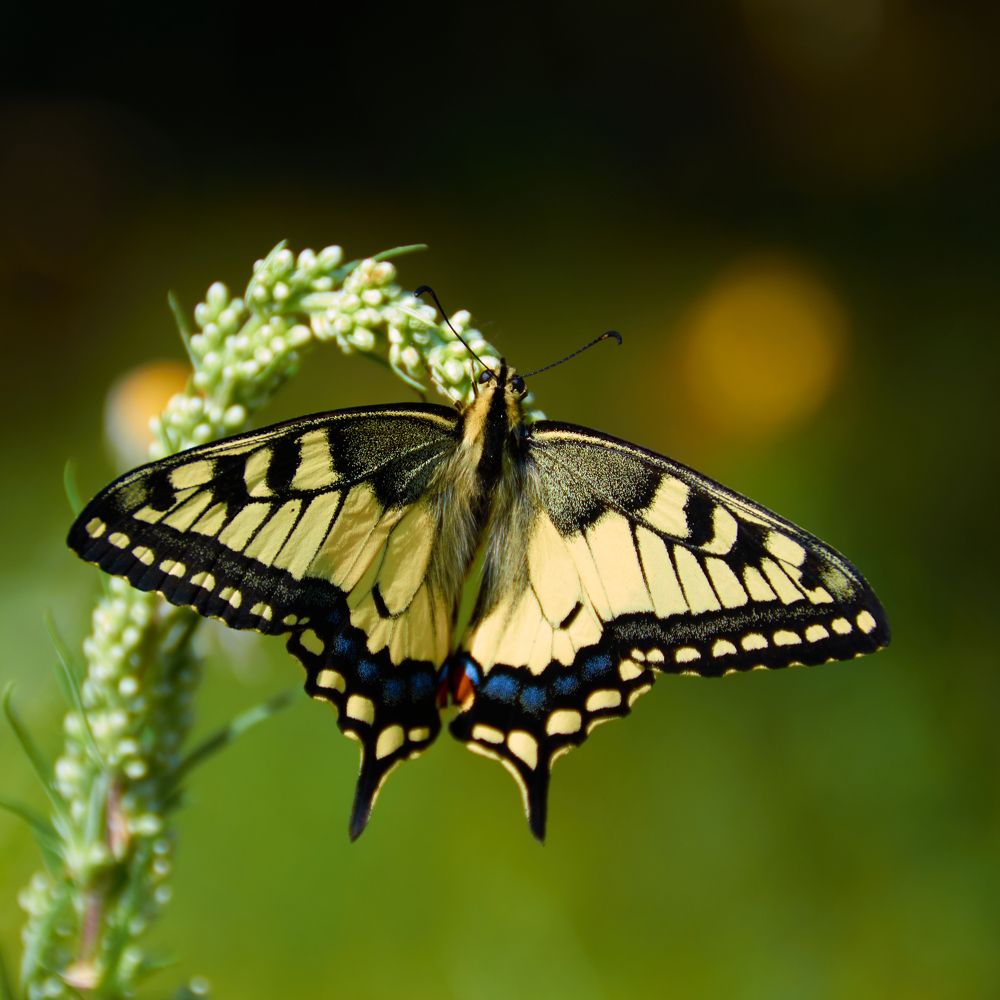 Photograph by Камиль Ахметшин