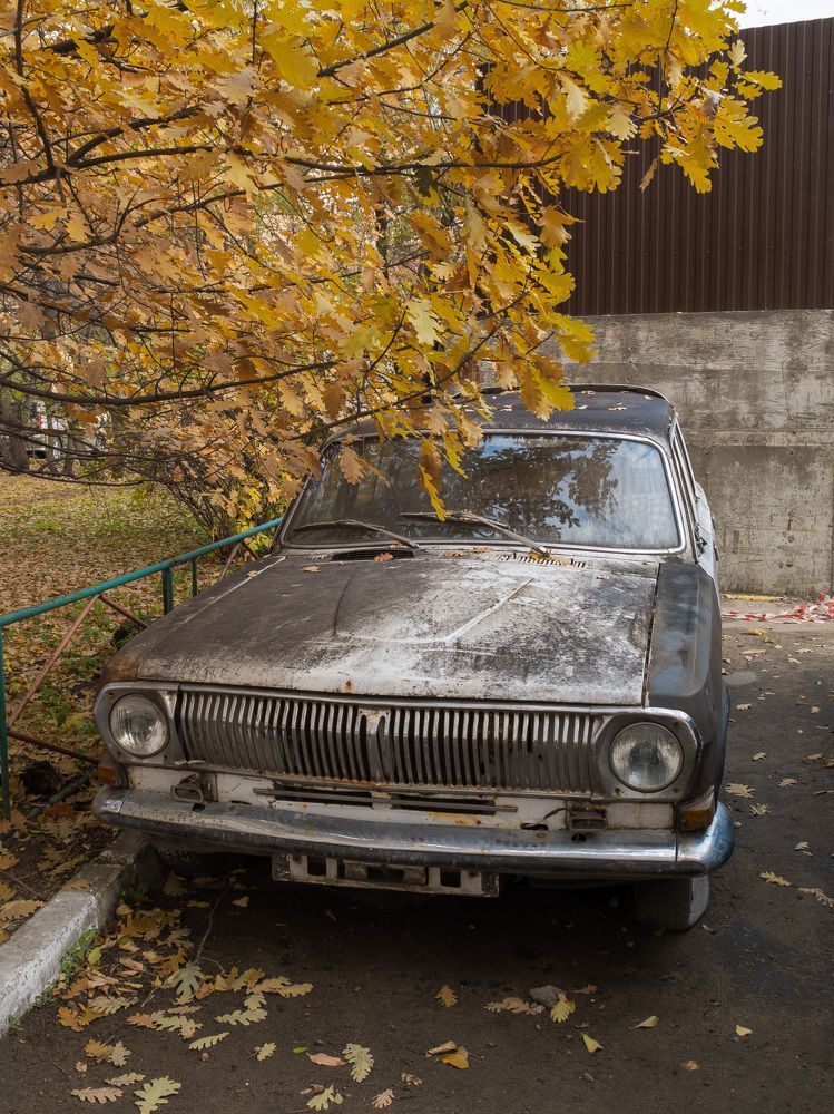 Photograph by Михаил Мостовой