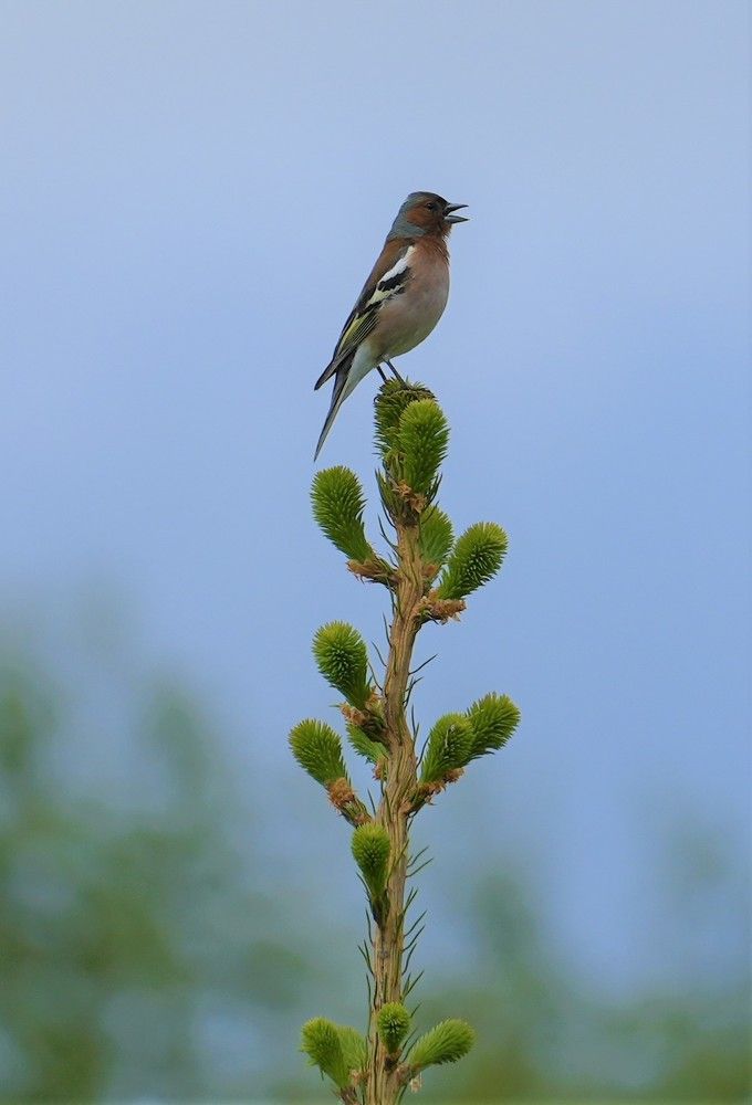 Photograph by Михаил Трусов