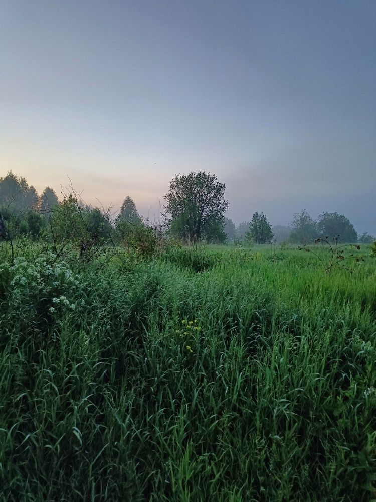 Photograph by Татьяна