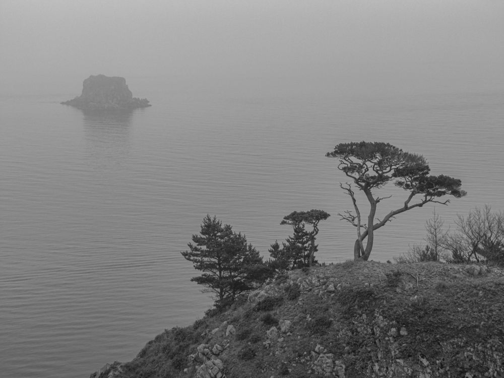 Фотография автора Александр Довганюк