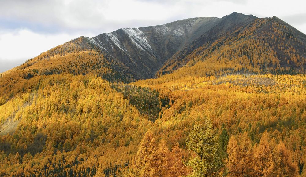 Photograph by Юрий Борик