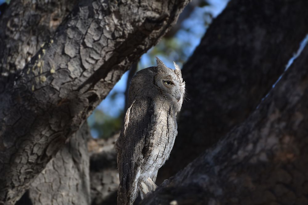 Photograph by seyedmohamad tabrizi