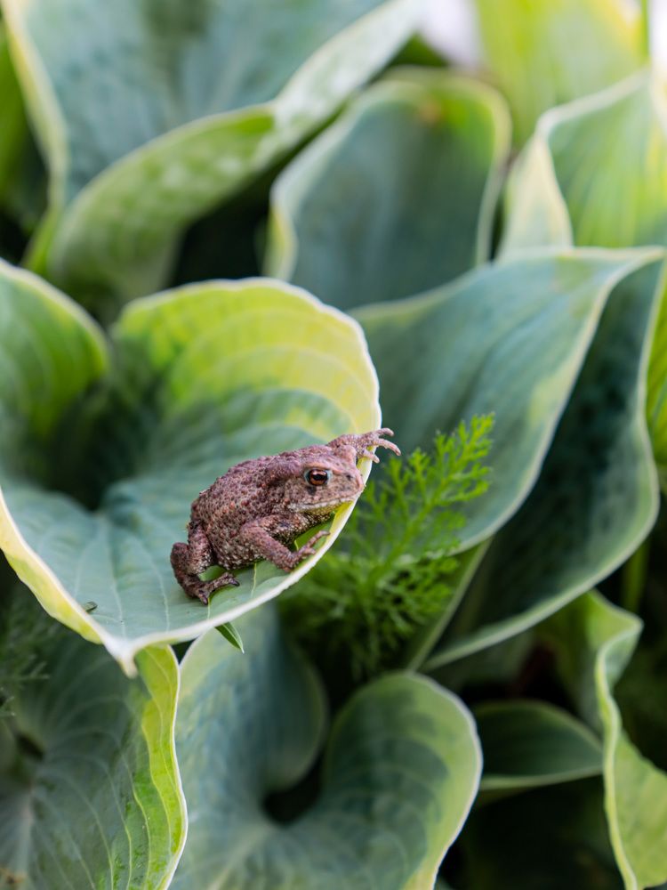 Photograph by Екатерина Слепнева