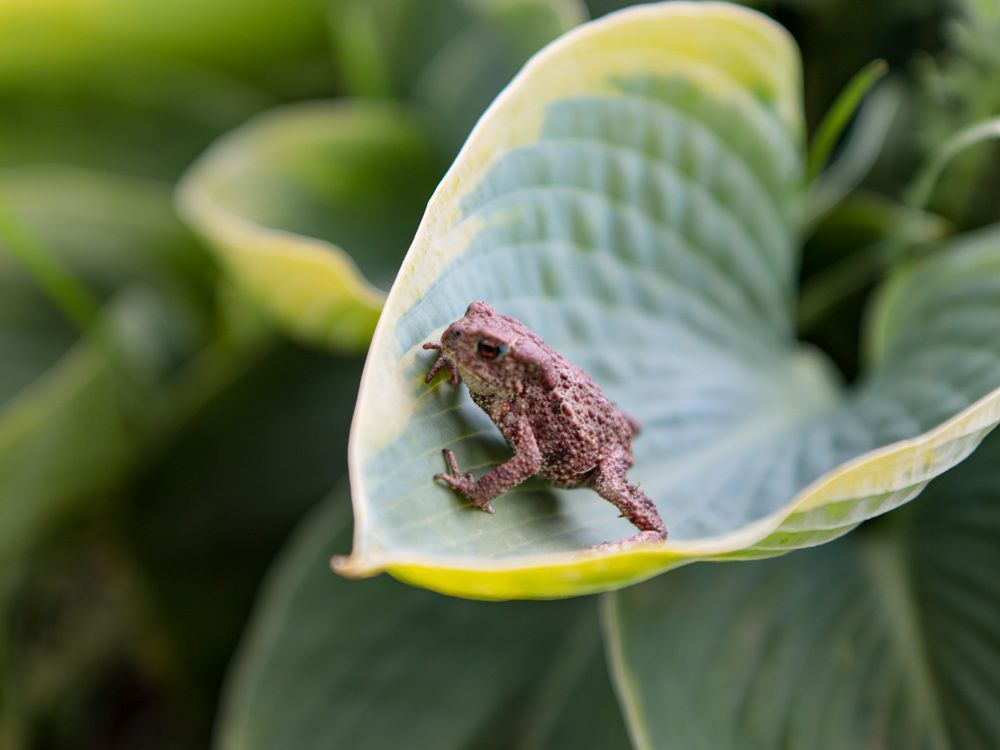 Photograph by Екатерина Слепнева