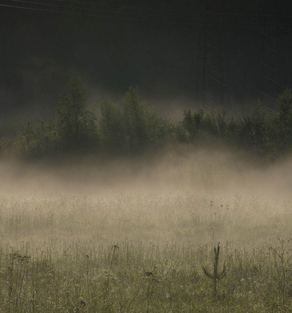 Photograph by Михаил Трусов