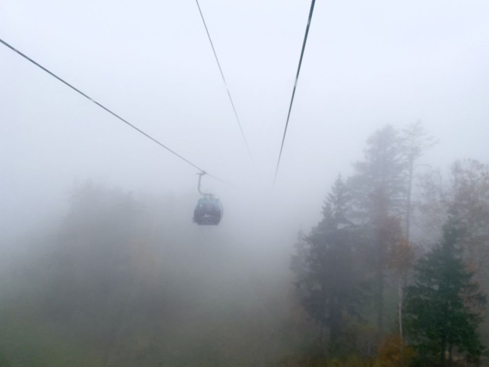 Фотография автора Бороненков Вадим