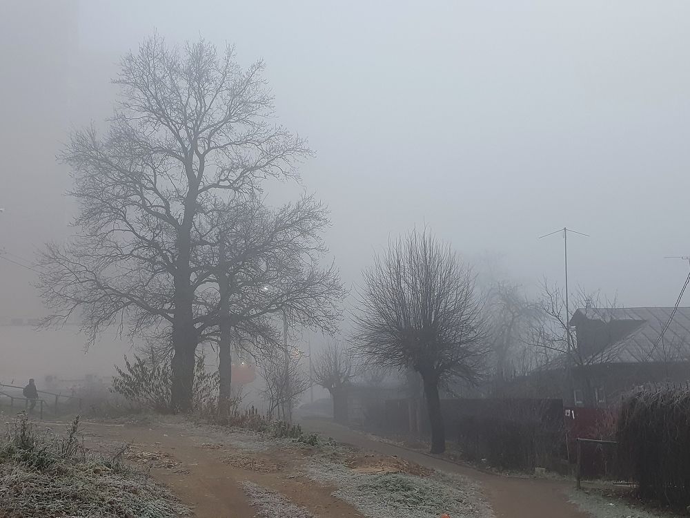 Photograph by Елена Харитонова