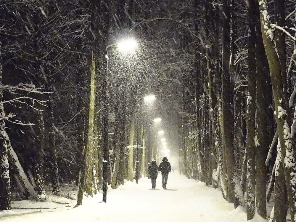 Photograph by Елена Харитонова