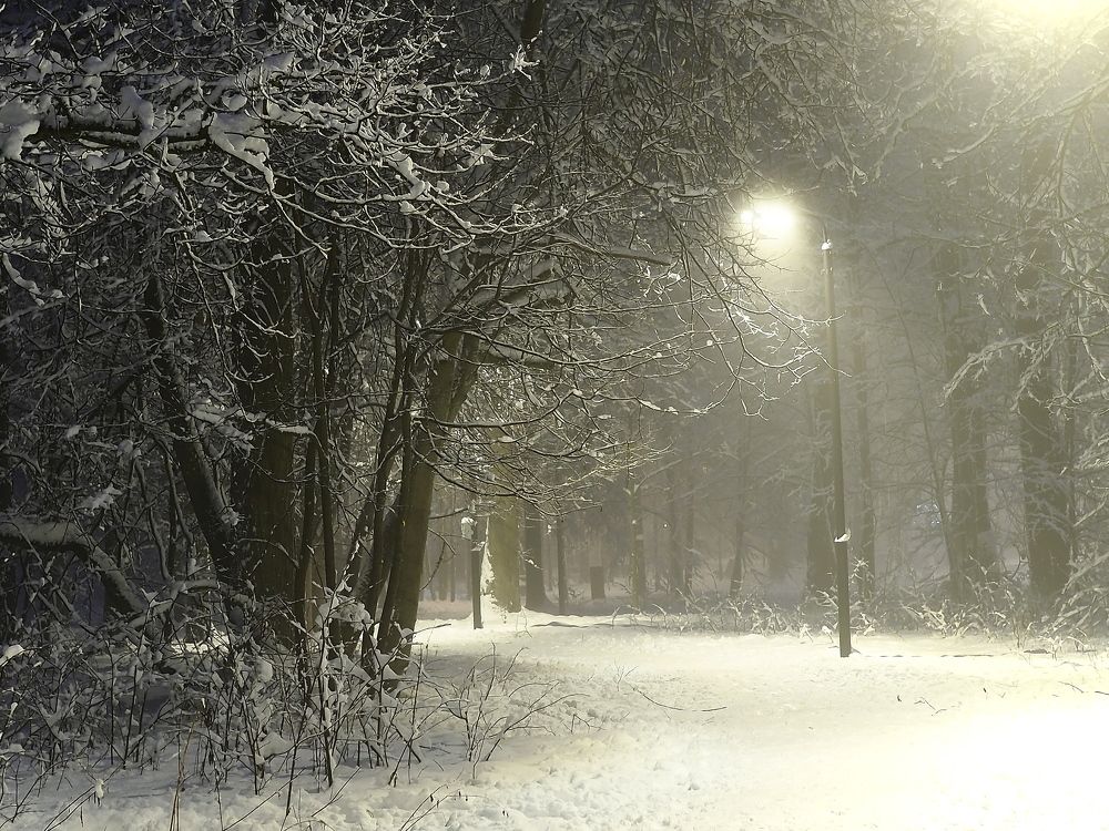 Photograph by Елена Харитонова