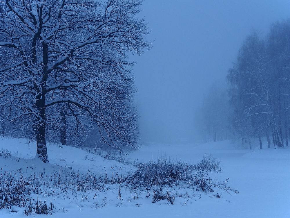 Photograph by Елена Харитонова