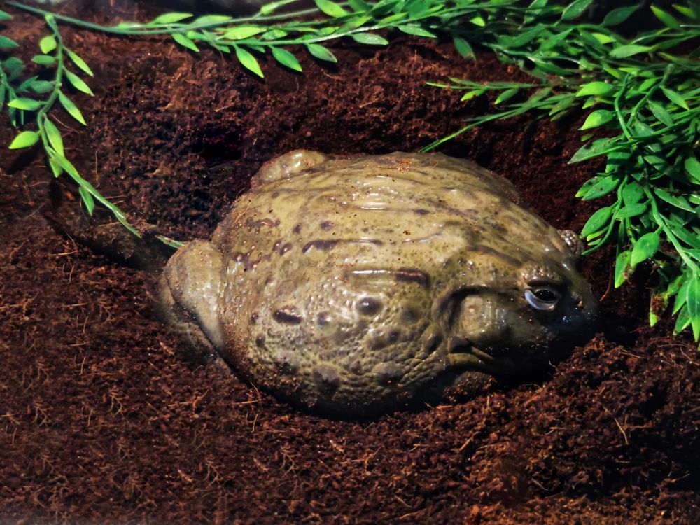 Photograph by Ирина Шибитова