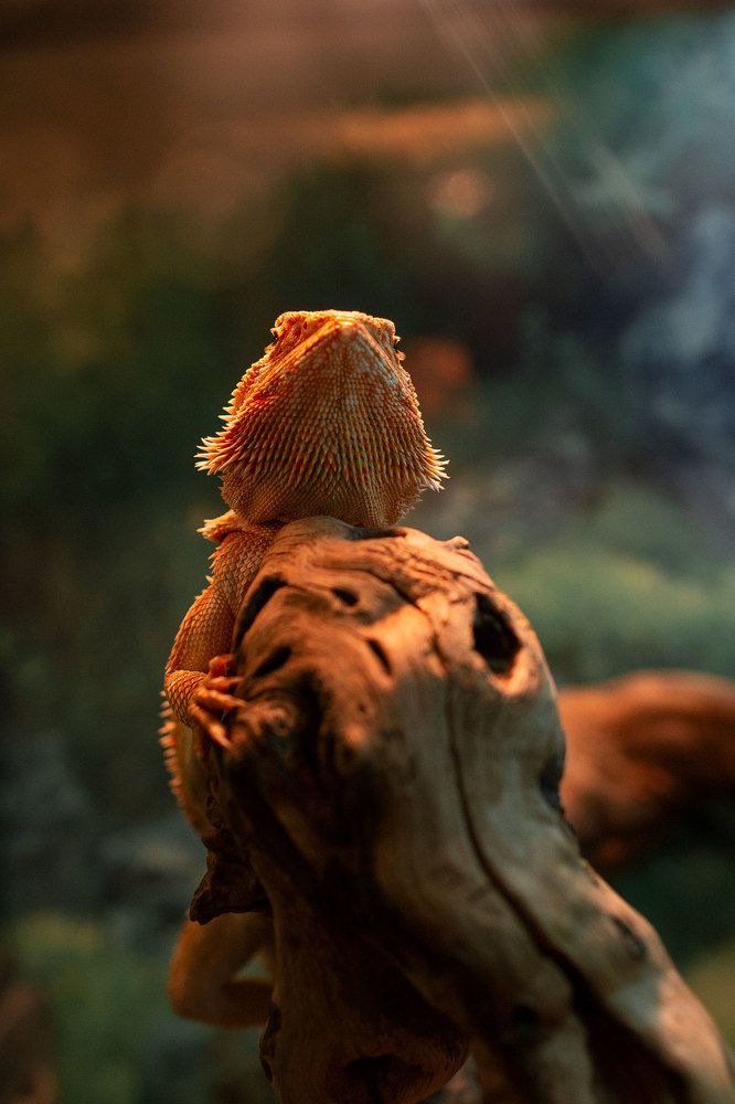 Photograph by Дмитрий Кононенко