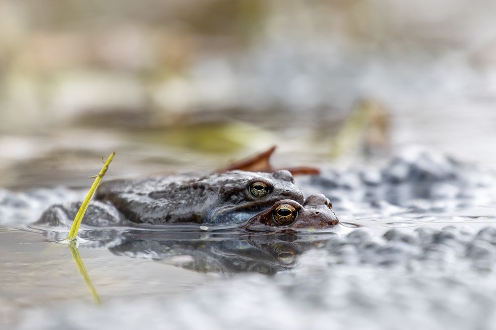 Photograph by Кузнецов Дмитрий