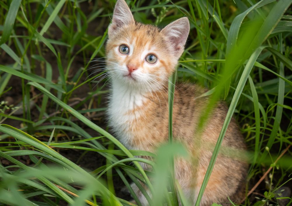 Photograph by Виталий Маслов