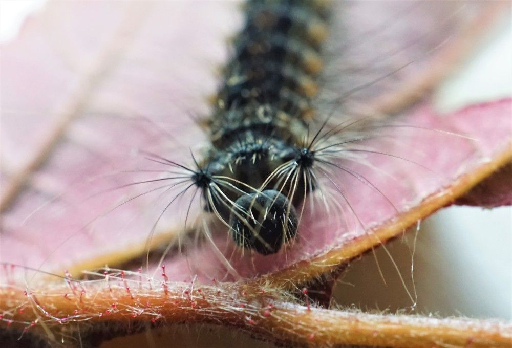 Photograph by Михаил Трусов