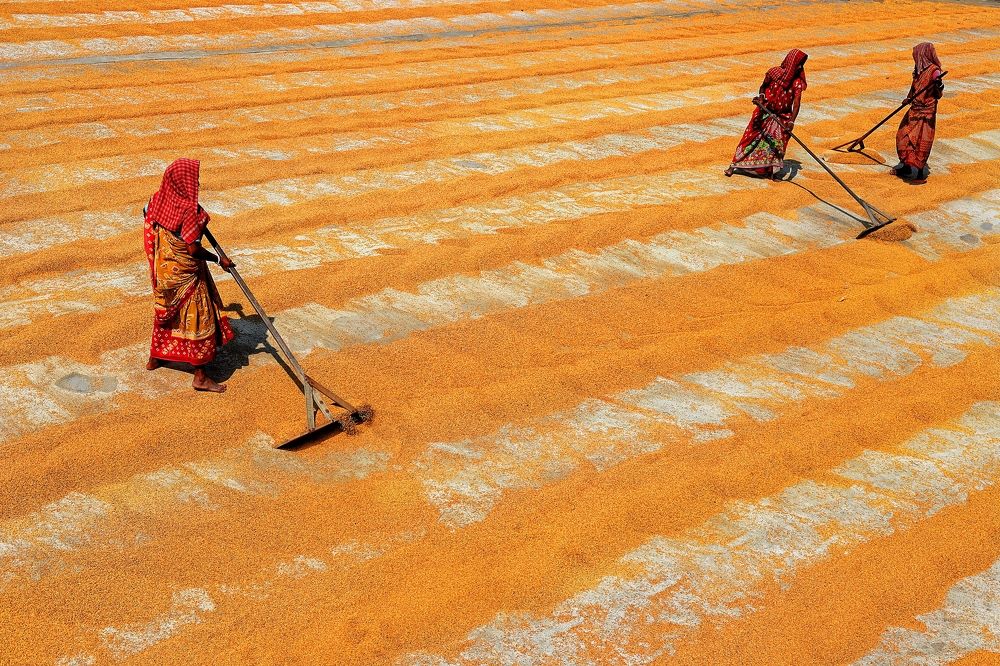 Photograph by ANIRBAN CHAKRABARTI