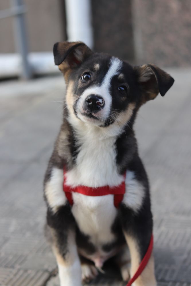 Photograph by Tatyana Semenova