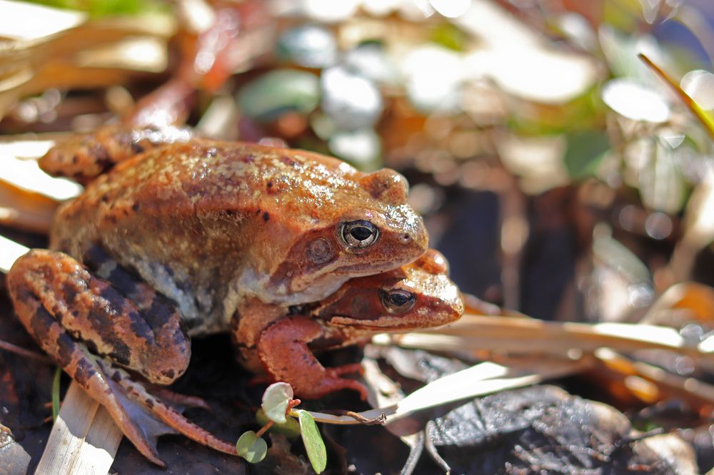 Photograph by Tatyana Semenova