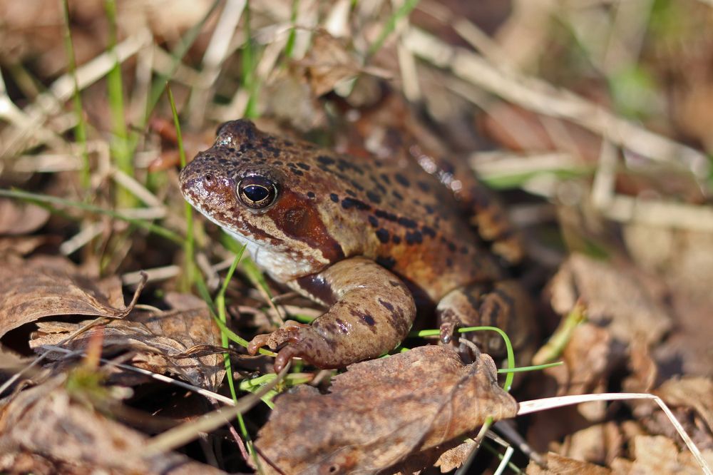 Photograph by Tatyana Semenova