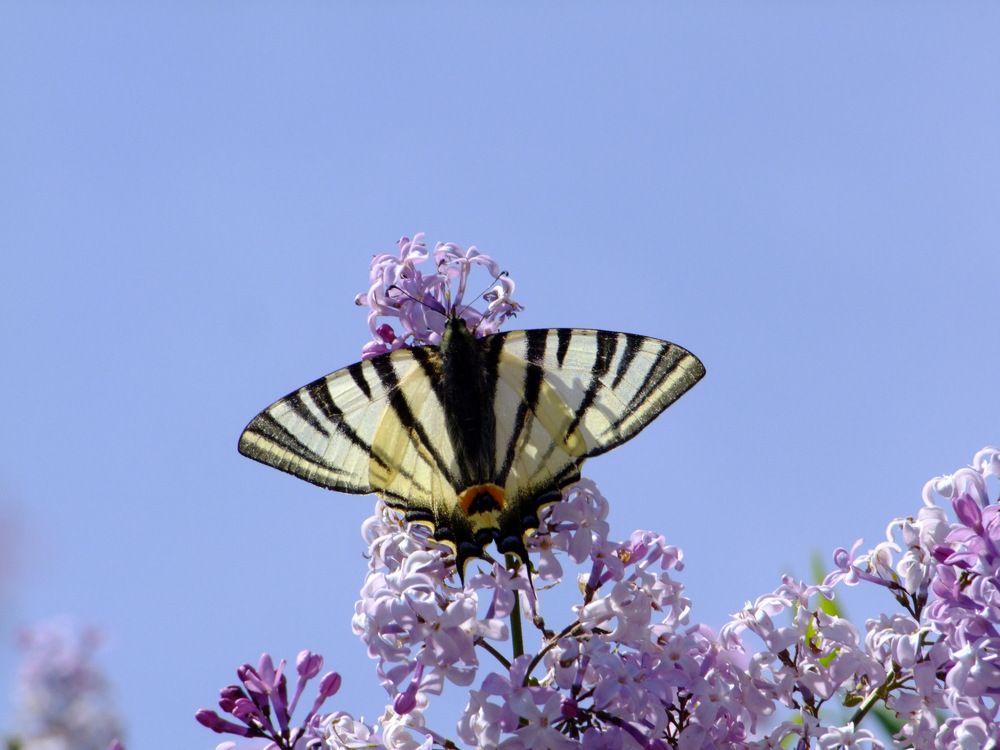 Photograph by Cengiz Yalcin