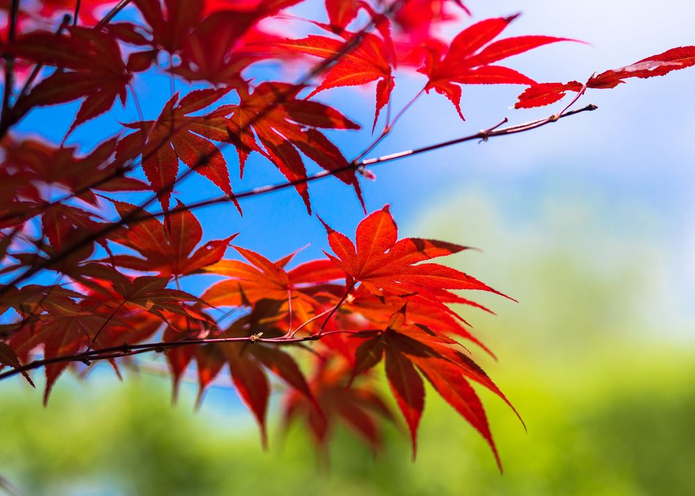 Photograph by Константин Искучеков