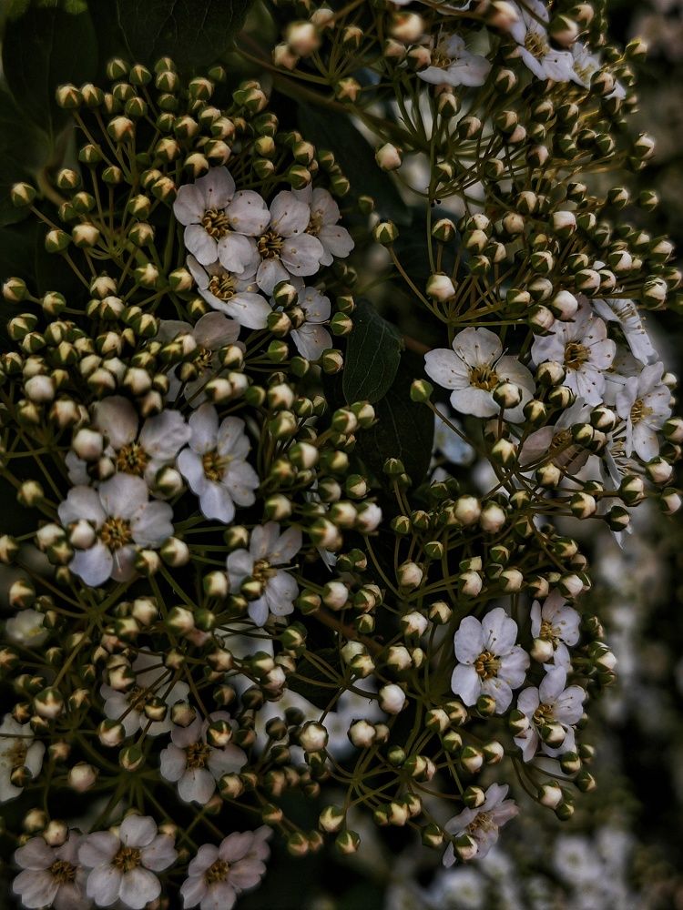 Photograph by Анна Будигай