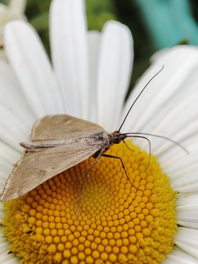 Photograph by Елена Горева