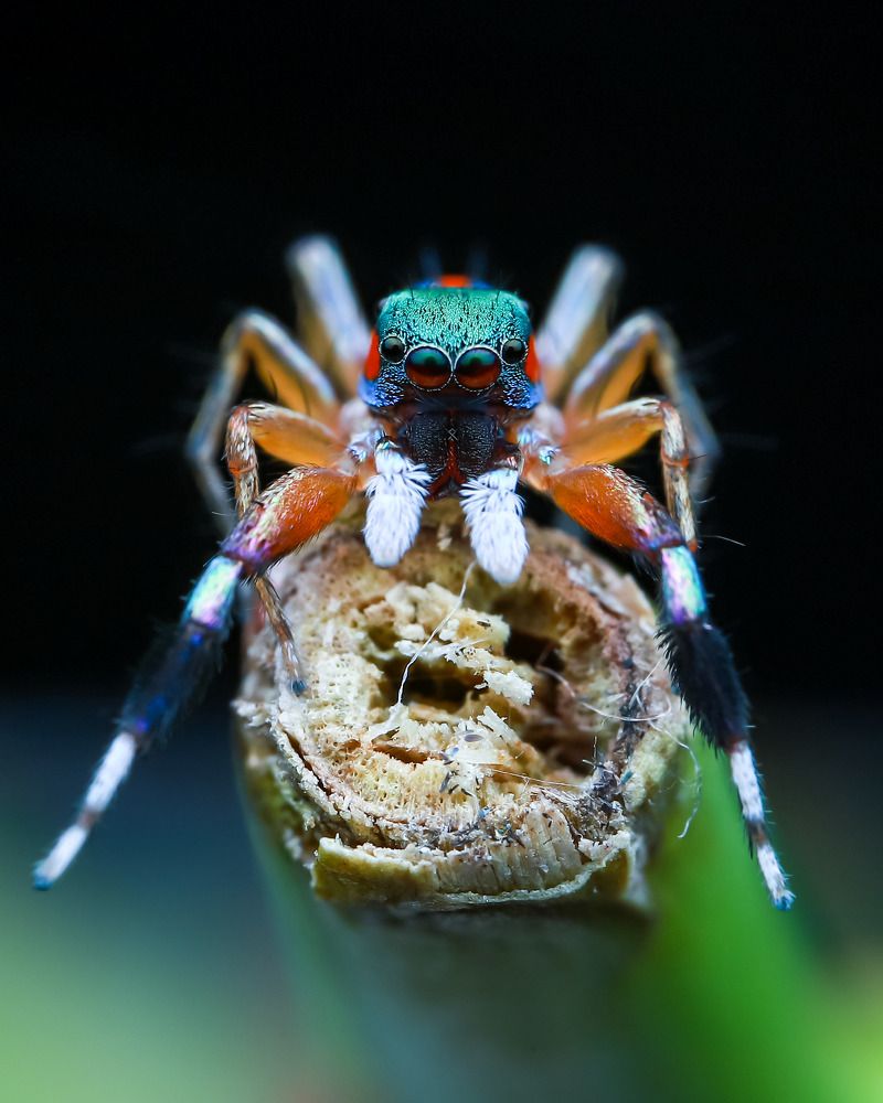 Photograph by Anh Nguyen