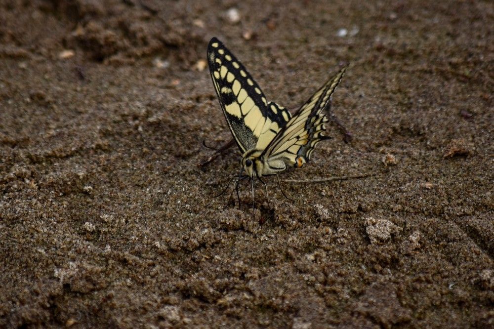 Photograph by Алексей Логинов