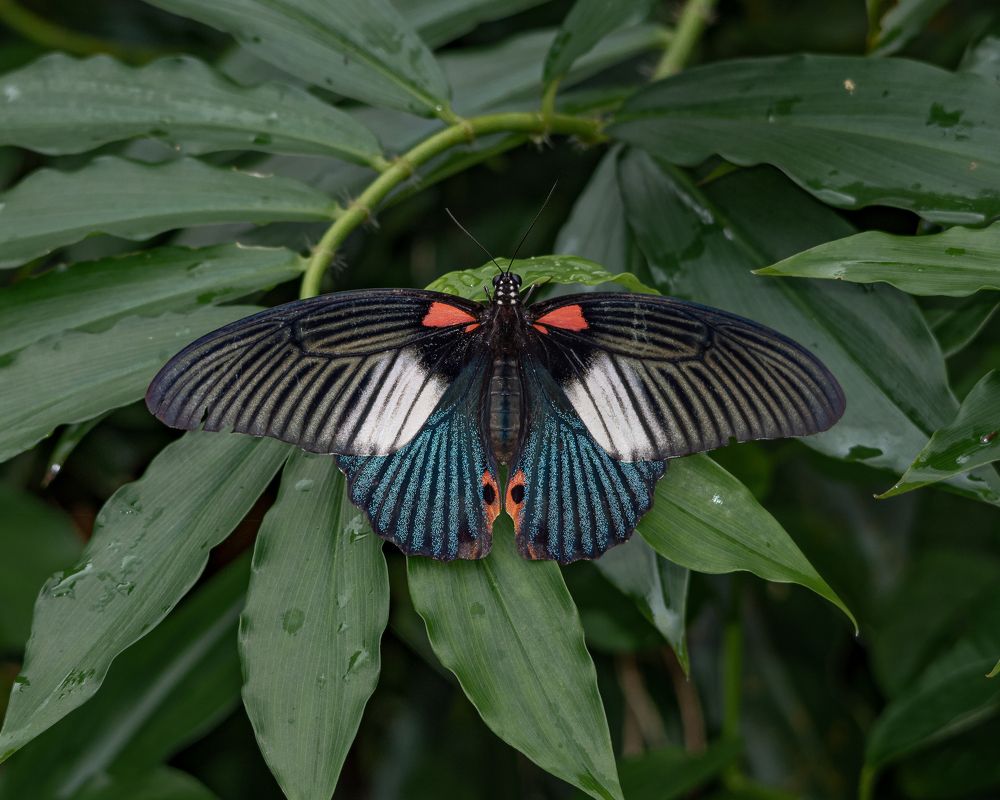 Фотография автора Yan Ze Ng