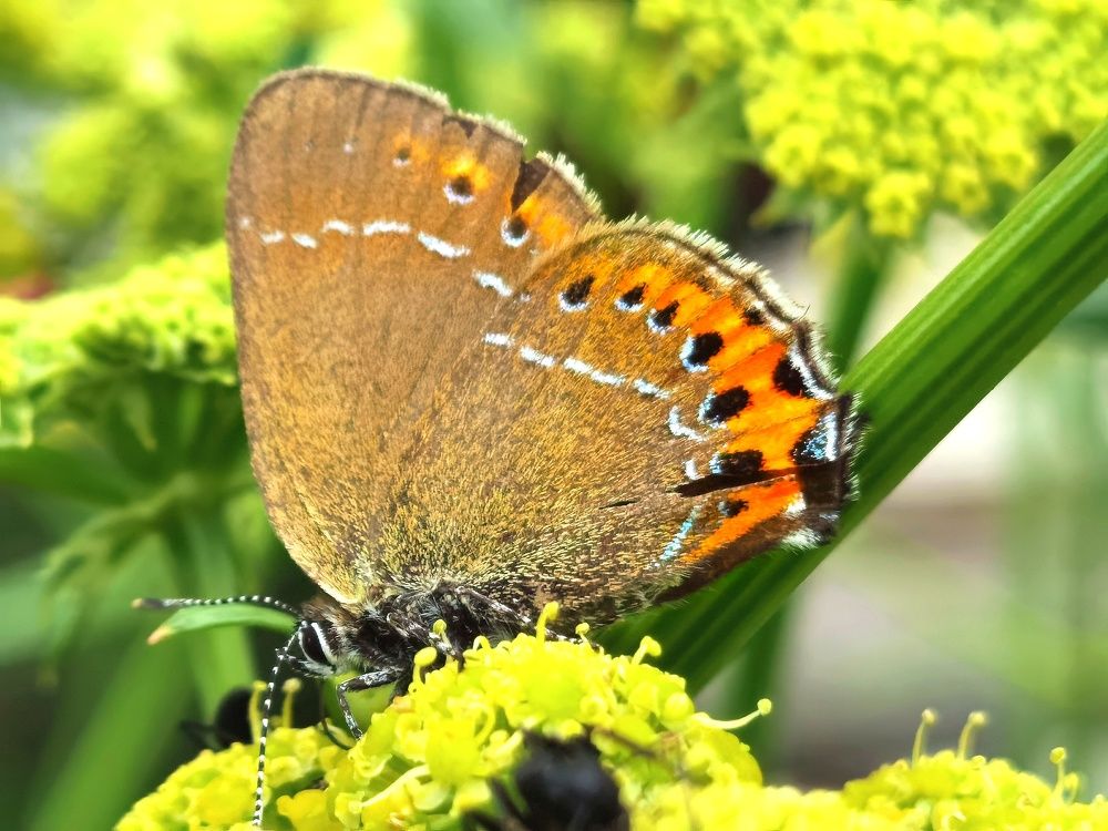 Photograph by Alen Brkić