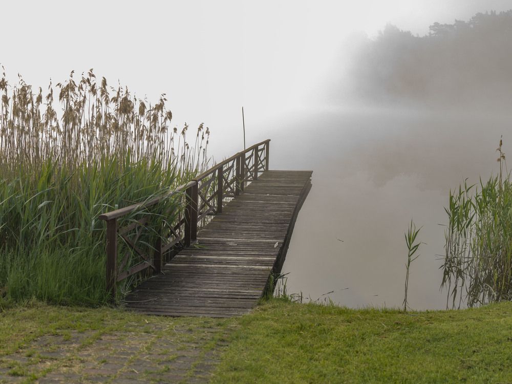 Photograph by Susanna Kari