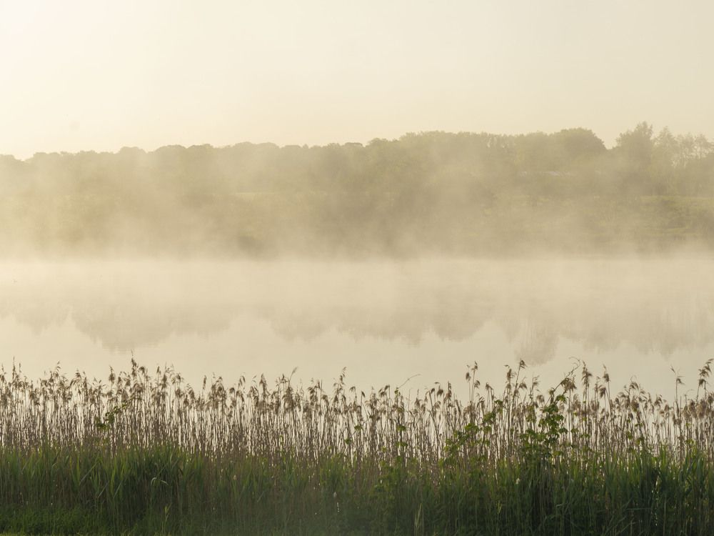 Photograph by Susanna Kari