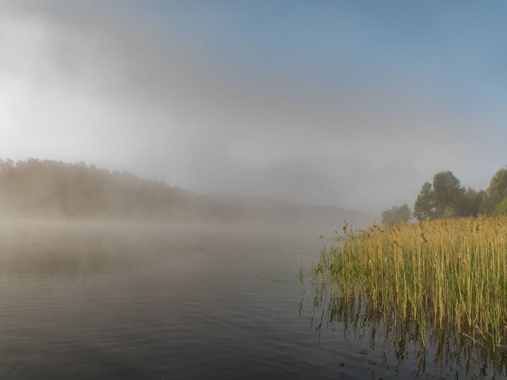 Photograph by Susanna Kari