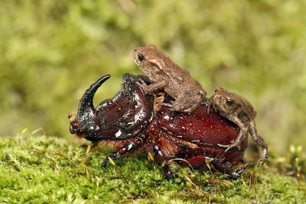 Photograph by Сергей Маслов