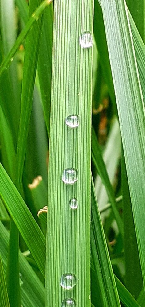 Photograph by Евгения Ульянова