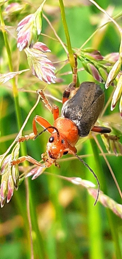 Photograph by Евгения Ульянова