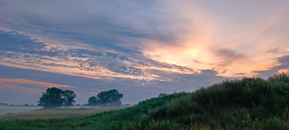 Туманный вечер