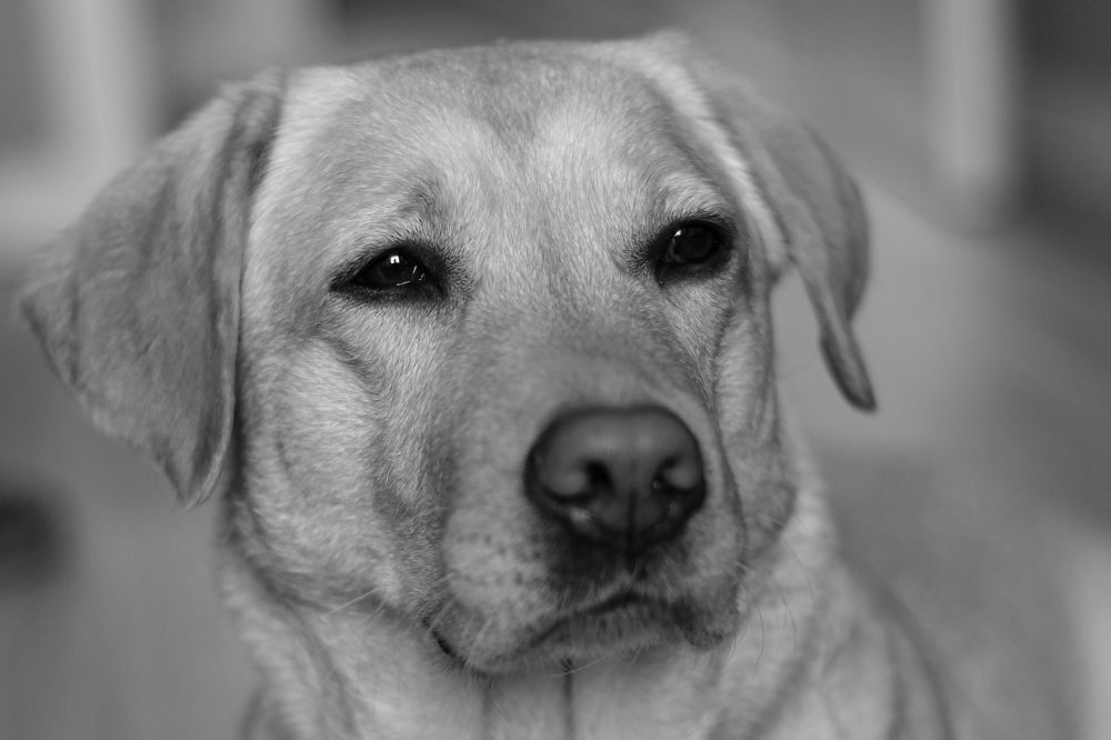 Photograph by Олег Логинов