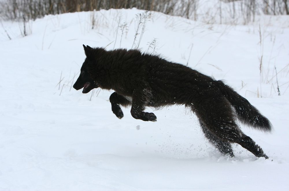 Фотография автора Надежда Лисицына