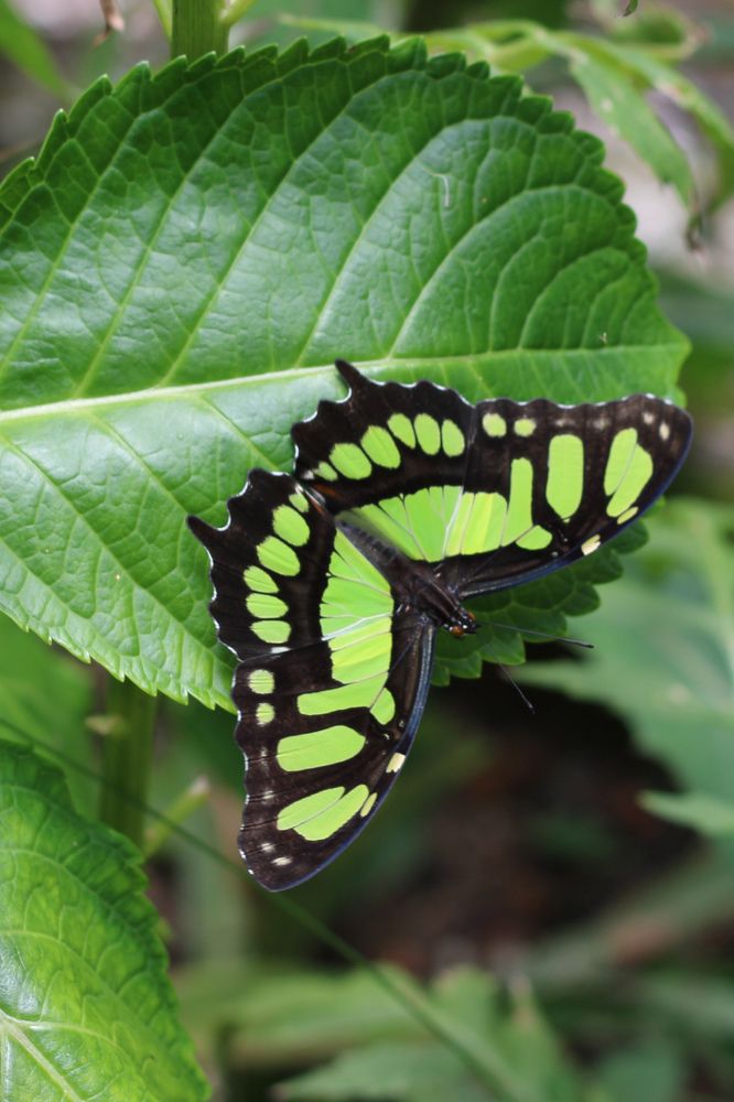 Photograph by Mariana Barboza