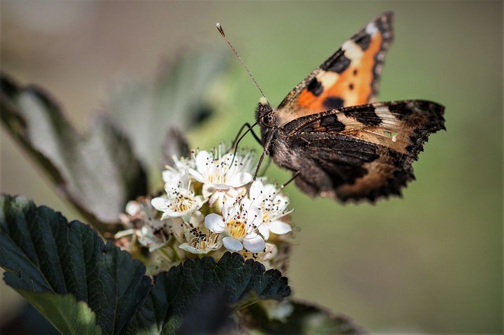 Фотография автора Юрий Кульмяков