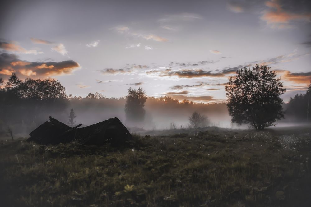 Photograph by andrei zorin