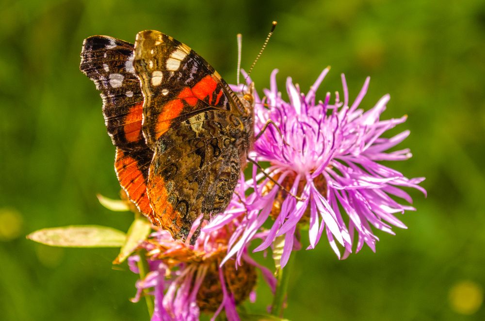 Photograph by Евгений Каримов